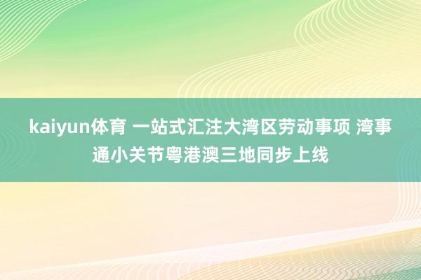 kaiyun体育 一站式汇注大湾区劳动事项 湾事通小关节粤港澳三地同步上线