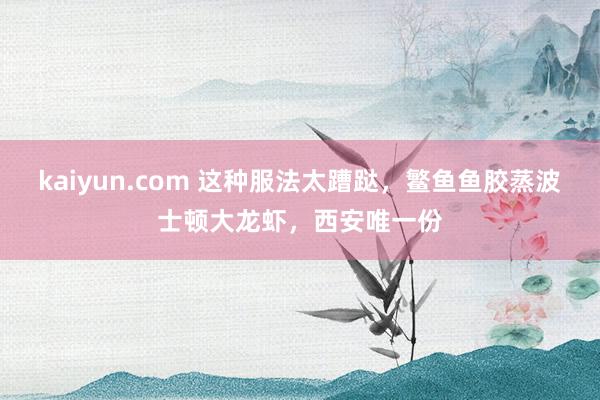 kaiyun.com 这种服法太蹧跶，鳘鱼鱼胶蒸波士顿大龙虾，西安唯一份