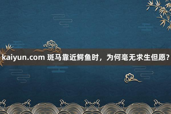 kaiyun.com 斑马靠近鳄鱼时，为何毫无求生但愿？