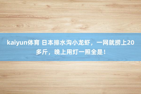 kaiyun体育 日本排水沟小龙虾，一网就捞上20多斤，晚上用灯一照全是！