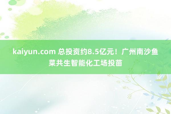 kaiyun.com 总投资约8.5亿元！广州南沙鱼菜共生智能化工场投苗