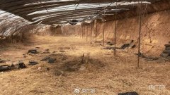 kaiyun官方网站邯郸初中生被害案接下来会按照刑事诉讼法的国法设施-kaiyun全站体育app下载