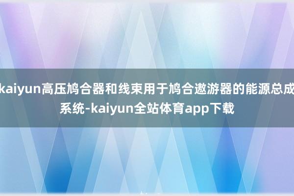 kaiyun高压鸠合器和线束用于鸠合遨游器的能源总成系统-kaiyun全站体育app下载